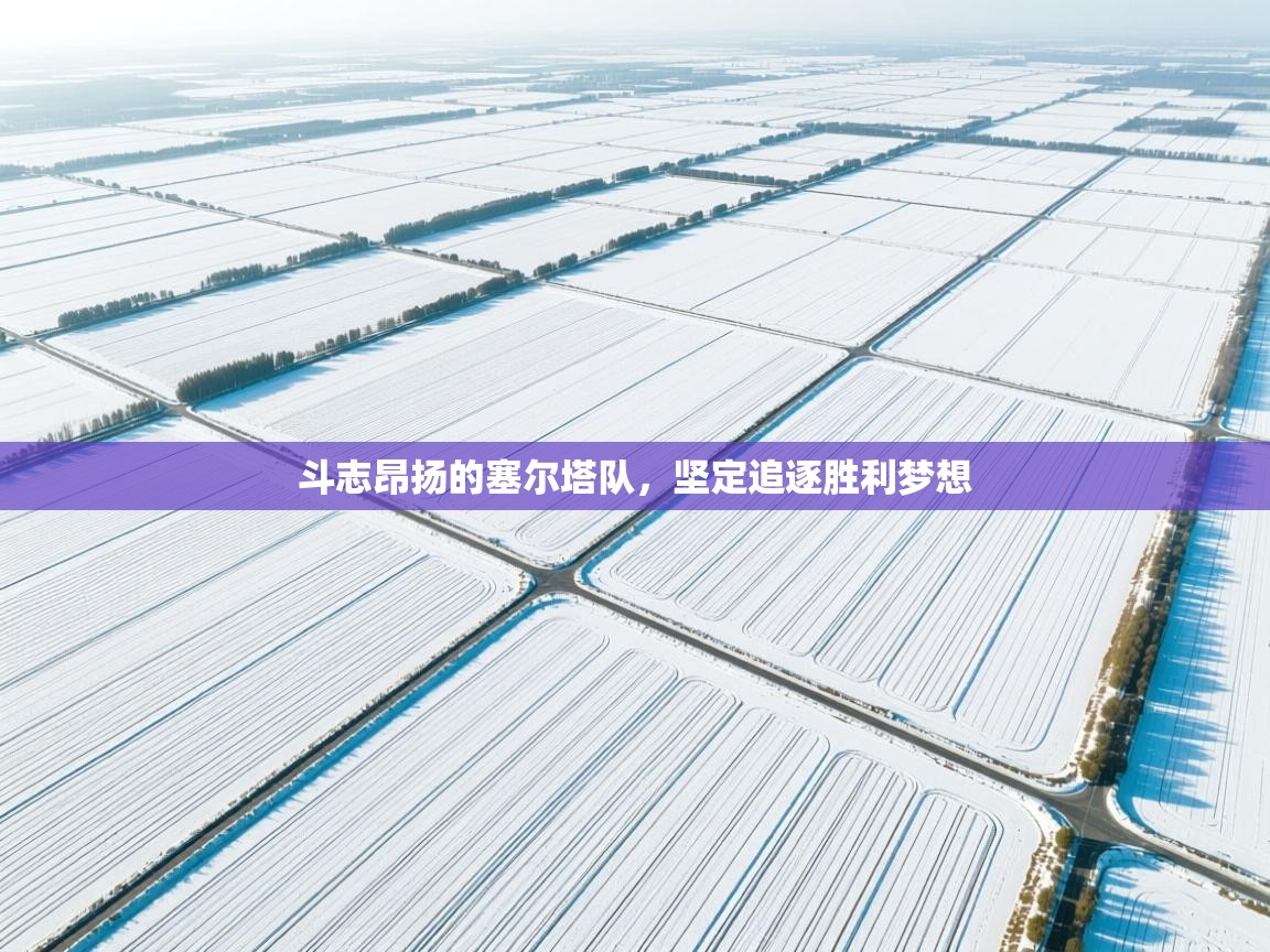 斗志昂扬的塞尔塔队，坚定追逐胜利梦想  第1张