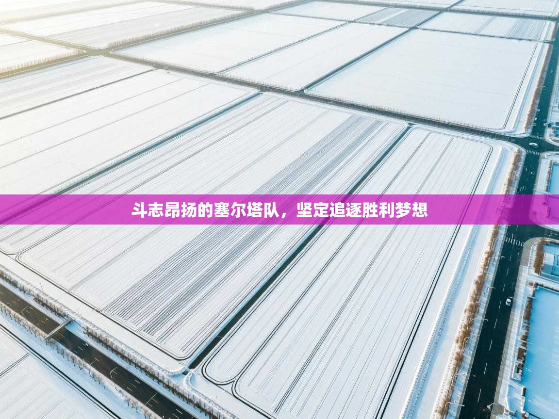 斗志昂扬的塞尔塔队，坚定追逐胜利梦想  第2张